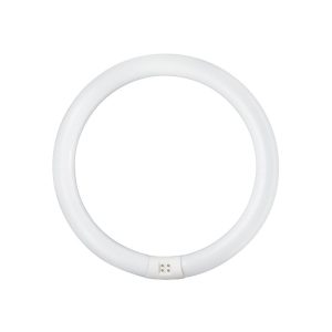 หลอดนีออนกลม TLE PHILIPS 32/86 CDL สีขาว G10q